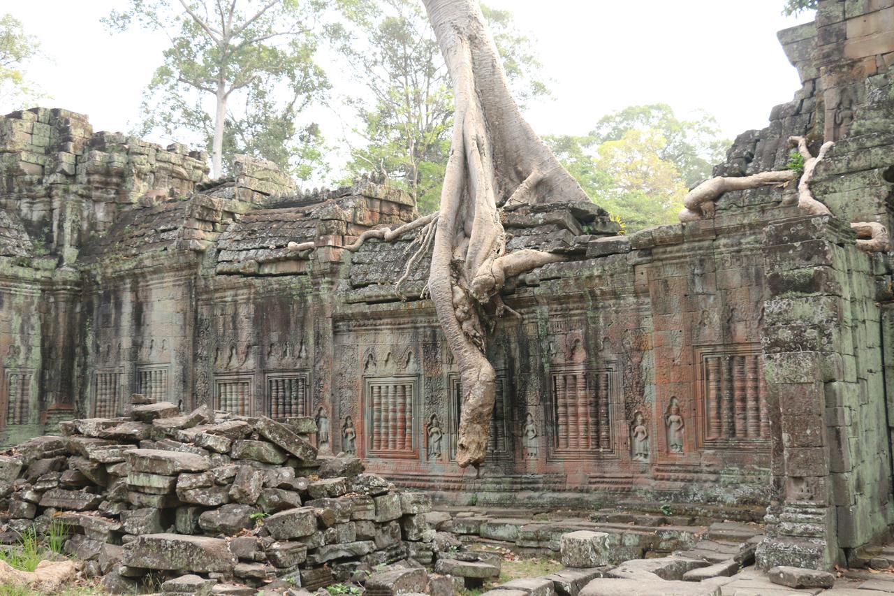 Vilada Angkor Boutique Siem Reap Ngoại thất bức ảnh