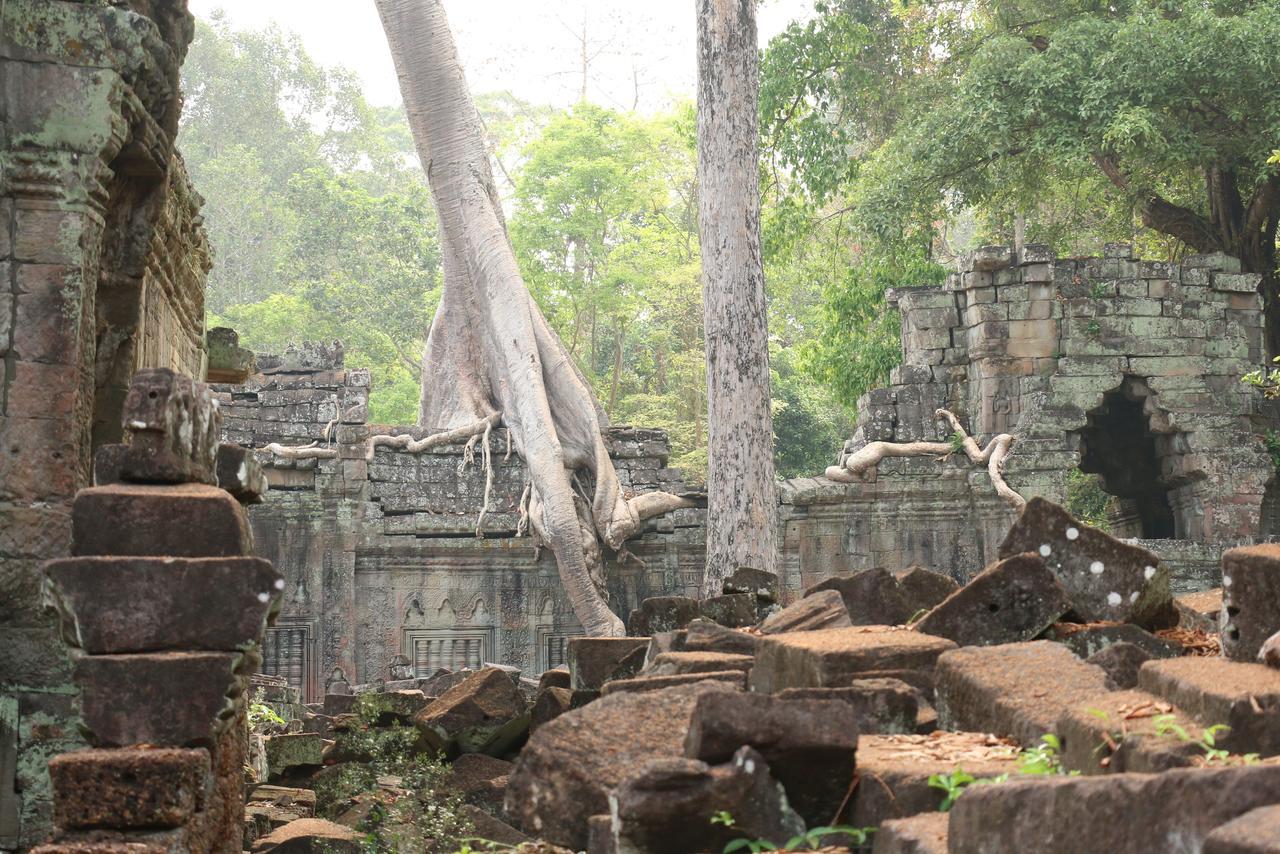 Vilada Angkor Boutique Siem Reap Ngoại thất bức ảnh