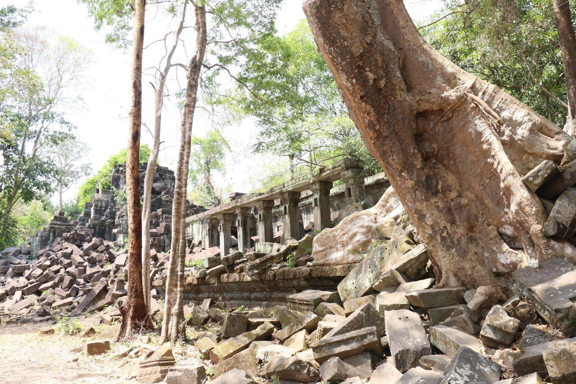 Vilada Angkor Boutique Siem Reap Ngoại thất bức ảnh